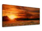 PANORAMA Τοπιογραφία τοίχου Έκπτωση 60% 50X100 cm